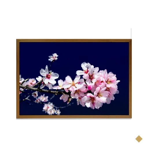 Quadro Decorativo Flor De Cerejeira Sem Vidro Cor:marrom