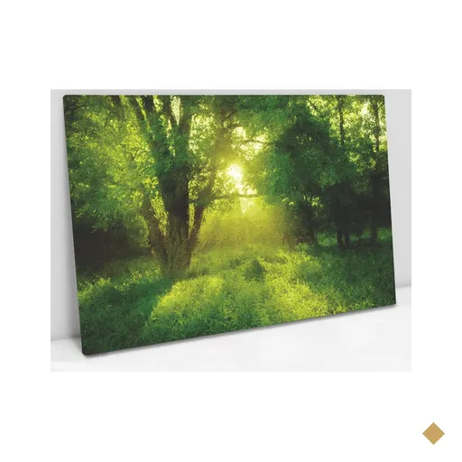 Quadro Decorativo em Canvas Natureza - Moldura Madeira - 90 x 60cm