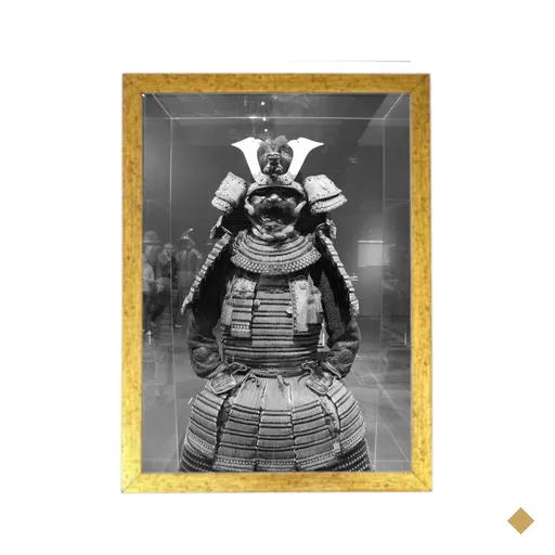 Quadro decoração retro artes marciais samurai drd7707
