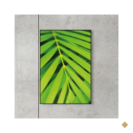 Quadro Decorativo Folhagem QV.0034.01.01.01 Euronobre
