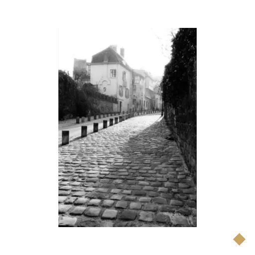 Parisian Walkway Ii Canaleta 55x80cm Preta