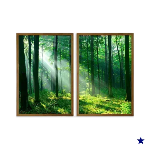 Conjunto Quadros Decorativos Floresta Sem Vidro Cor:marrom