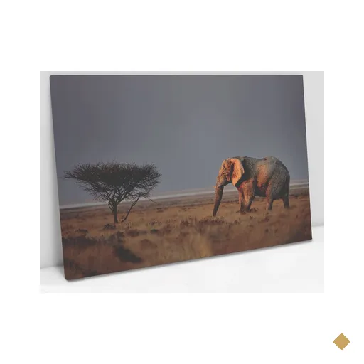 Quadro Decorativo em Canvas Elefante na Savana - Chassi - 120 x 80cm