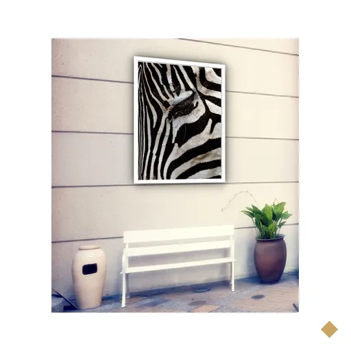 Quadro Decorativo Olho Zebra Fechado - 70x50cm:moldura Preta