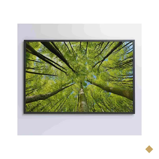 Quadro Árvores - 90x60 Cm - Adesivo Fotográfico