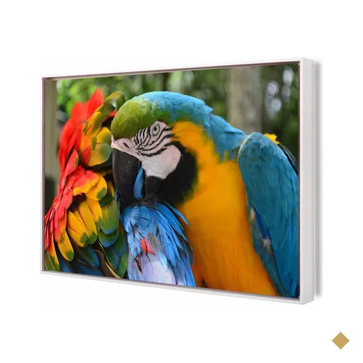 Quadro Canvas Arara Color 90X60Cm Slim Branca B021