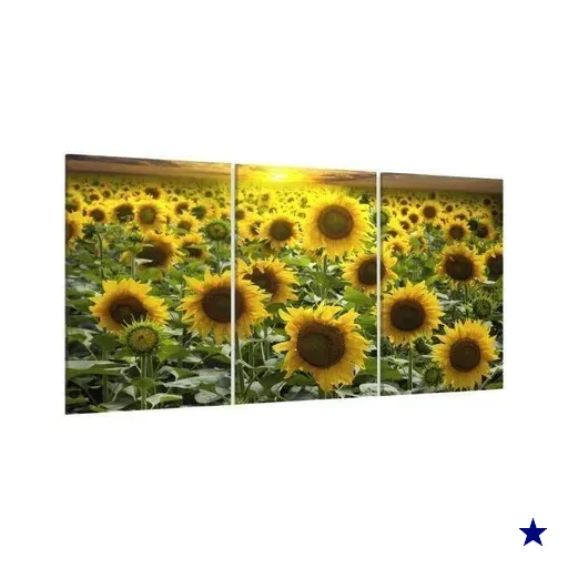 Quadro Decorativo Girassóis Grandes 120X60 Sala Quarto