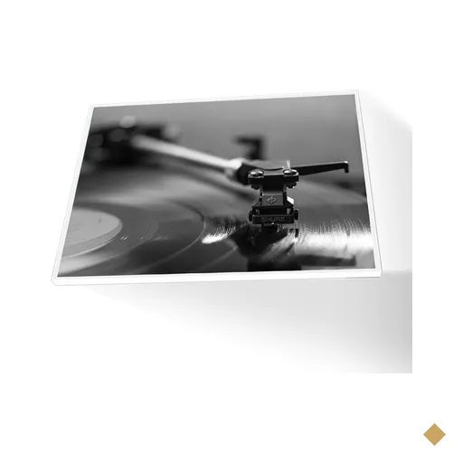 Quadro Disco de Vinil Canvas sem Vidro