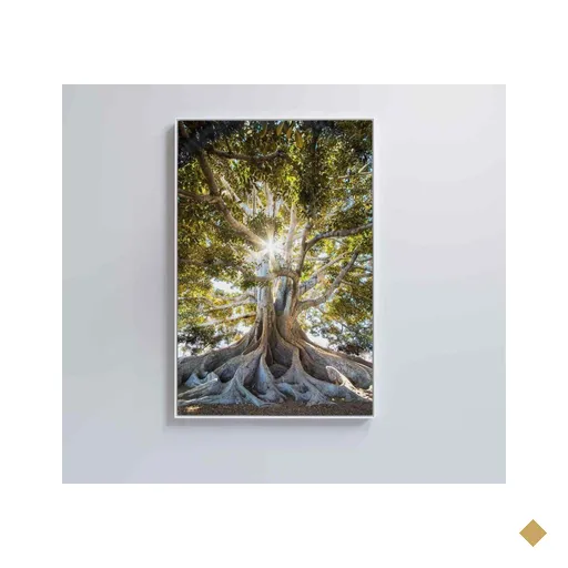 Quadro árvore 40x60 Cm Adesivo Fotográfico