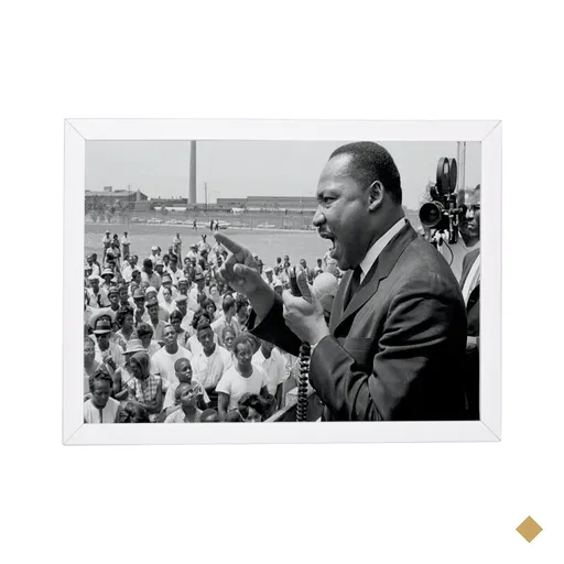 lindo quadro ativismo negro luther king brc6542