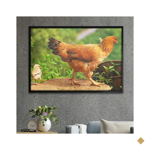 Quadro Decorativo Galinha e Pintinho Caminhando-34x49Cm