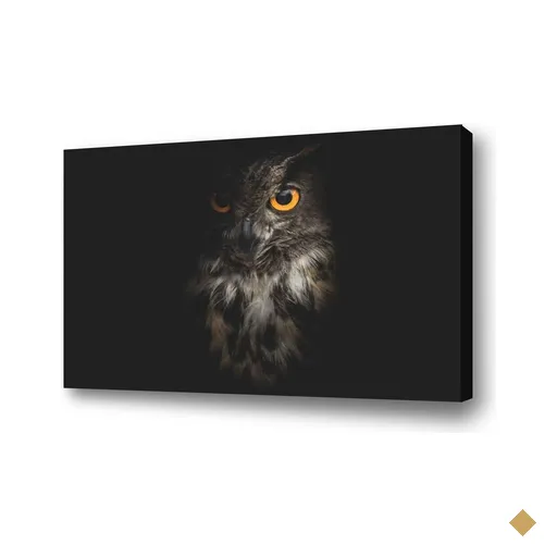Quadro Coruja Canvas Inc 90X60Cm Borda Infinita B010