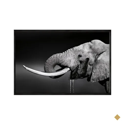 Quadro Decorativo 60x80cm Canvas Elefante Agua Preto e Branco Anm015