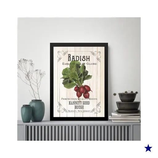 Quadro Vintage para Cozinha Rabanete 33x24cm - com Vidro:moldura Branca