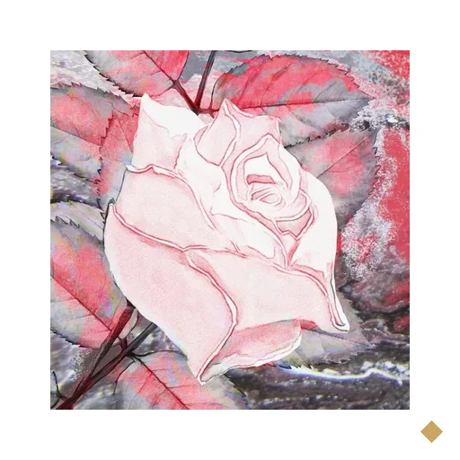 Quadro Rosa Clara
