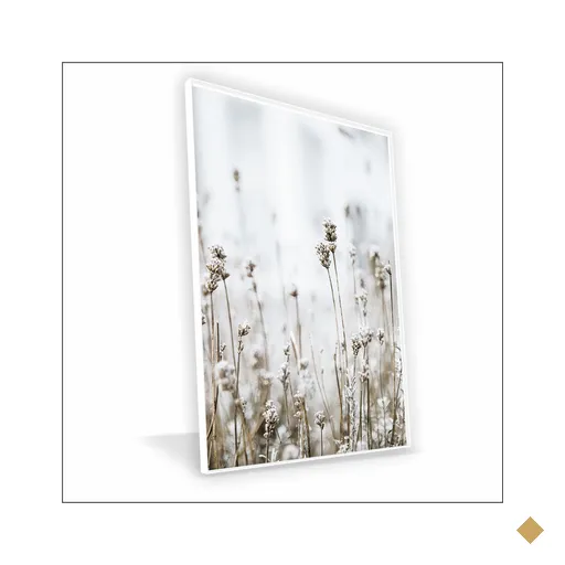 Quadro Gipsofila Canvas sem Vidro