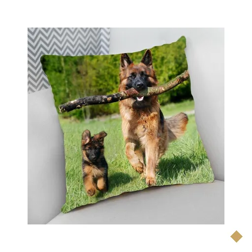 Almofada Decorativa Cheia com Zíper Cachorro 40 X 40 Cm