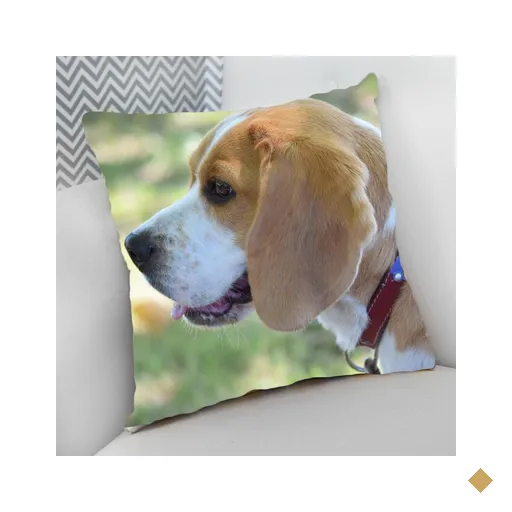 Almofada Decorativa Cheia c/ Zíper 40x40 Dog Pet Cachorro Cão - Beagle…