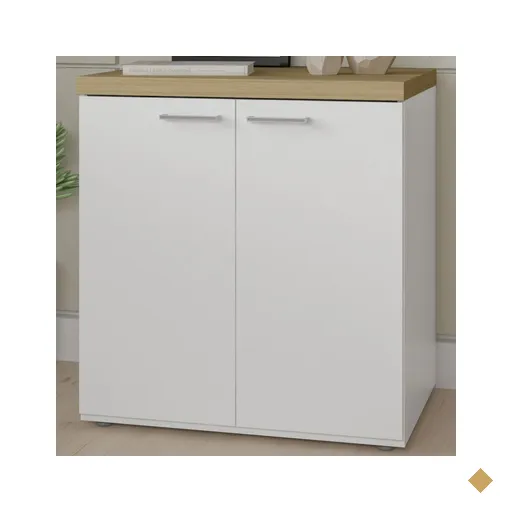 Armário Para Escritório Toq 2 Portas 1 Prateleira Olmo/branco - Artany
