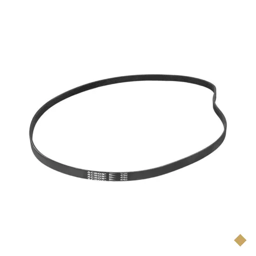 Correia para Bicicleta Ergométrica Spinning Elite Gallant (470J)