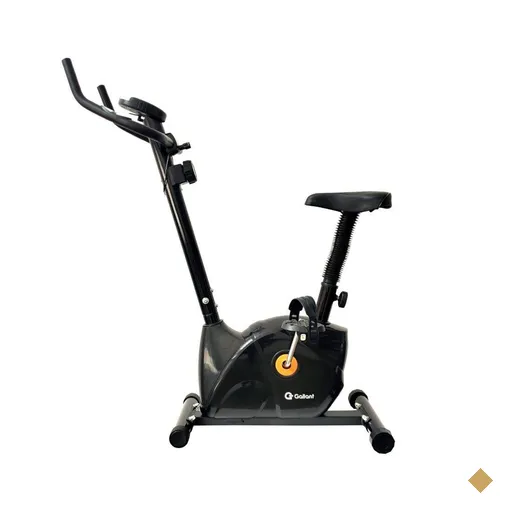 Bicicleta Ergométrica Vertical Magnética Gallant Elite X Preto (GBE03HMGA-PT)