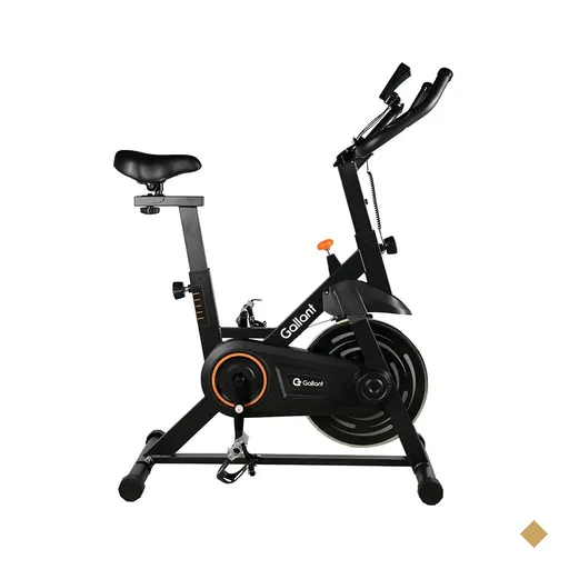 BICICLETA ERGOMETRICA SPINNING GALLANT TRAINER RODA DE 6KG (GSB06HBTA-PT)