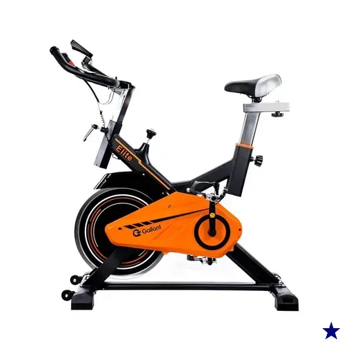 Bicicleta Ergométrica Gallant Elite Spinning Ate 110Kg Mecânica (GSB13HBTA-PT)