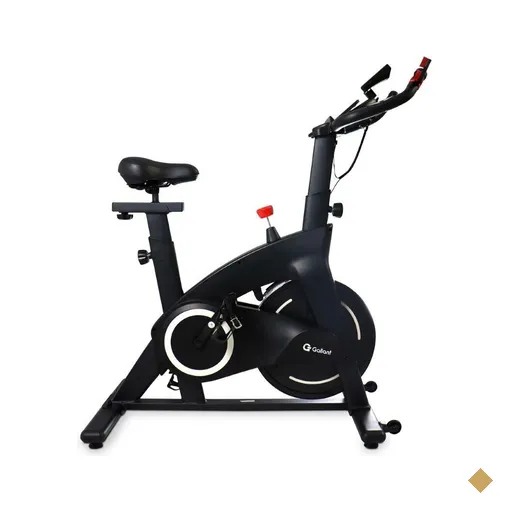 Bicicleta Spinning Magnética Gallant Elite X
