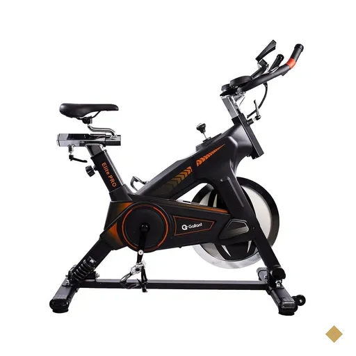 Bicicleta Ergométrica Gallant Elite Pro Spinning Ate 120Kg Mecânica…