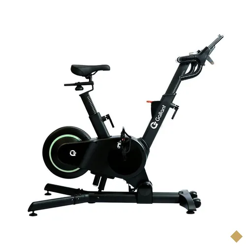 Bicicleta Ergométrica Spinning Gallant Elevate Pulse (GSB08HMGB-PT)