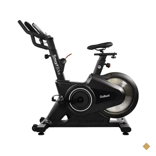 Bicicleta Ergométrica Gallant Smart Spinning Roda de Inercia 18kg até 150kg…