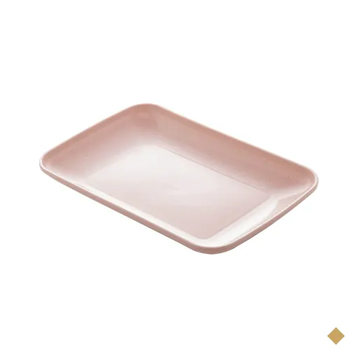 Travessa Bandeja para Servir Retangular 24x15x2,5cm Sortida Petisco Sobremesa…