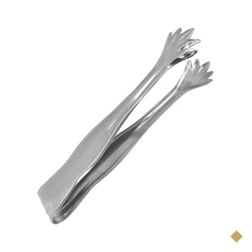 Pegador de Carne Inox Pequeno 16cm Churrascaria Frios Gelo Rodizio Mini Pinça…