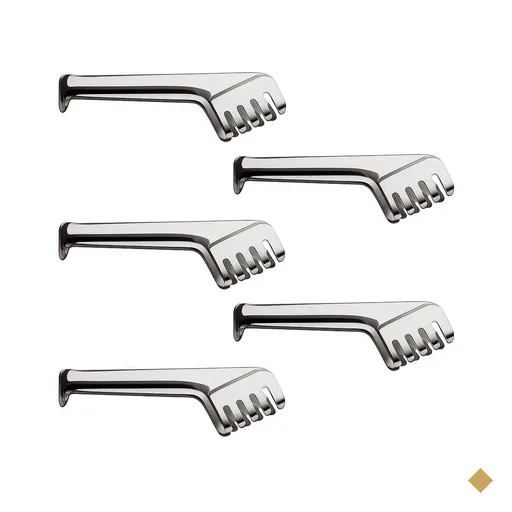 Kit 5 Pegadores Inox para Massa Carne Salada Servir Restaurante Buffet Taumer