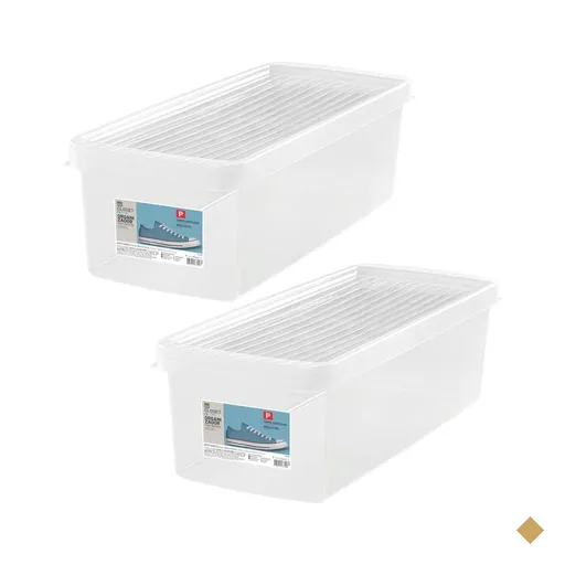 2 Caixas Plásticas Guardar Sapatos 35 a 38 Ordene 4,2L Organizadores Closet