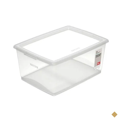 Organizador Plástico com Tampa Click 30L Caixa Organizadora para Casa…
