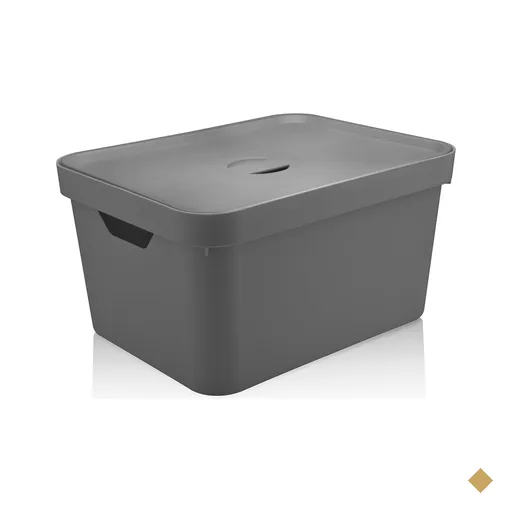 Caixa Organizadora 32L Organizador De Brinquedos Tampa Cube Chumbo