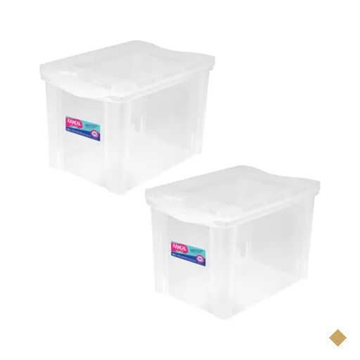 2 Caixas Organizadoras Plástica Altas 30L Ordene Organize Brinquedos Closet…