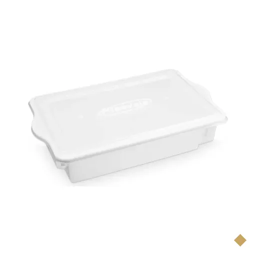 Kit 10 Caixas Plástica Restaurante Geladeira Legumes Verduras 4,2L Tampa…