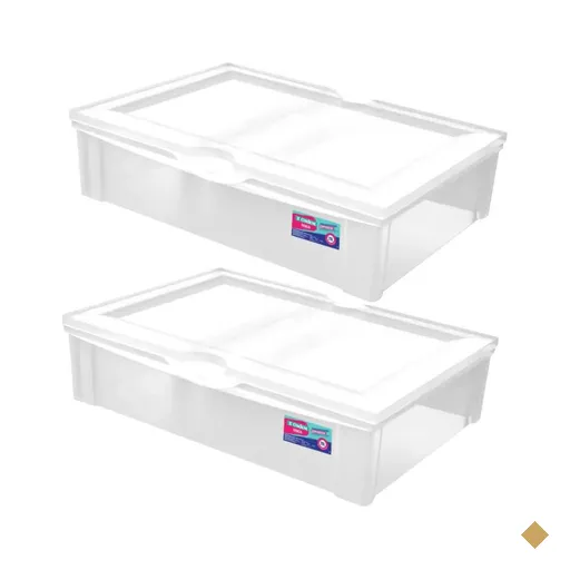 Kit 2 Caixas Organizadoras 29L Baixa com Tampa Plástica Radical Ordene…