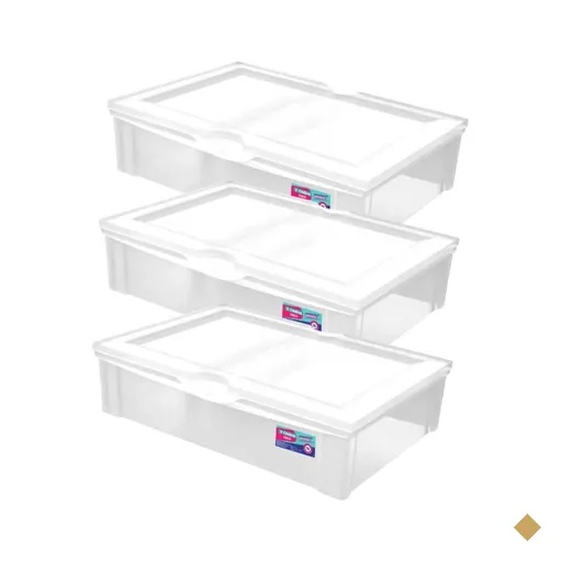 Kit 3 Caixas Organizadoras 29L Baixa com Tampa Plástica Radical Ordene…