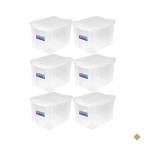 6 Caixas Organizadoras Plásticas Média Alta 30L Ordene Trans