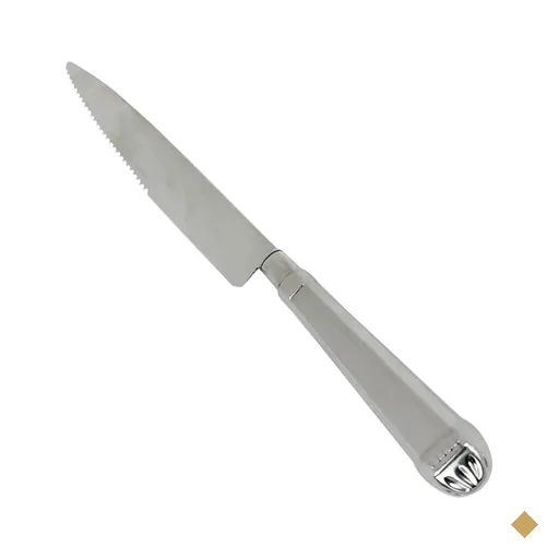 Jogo 100 Facas Jumbo de Churrasco 25cm Aço Inox Prateada Restaurante Mesa…