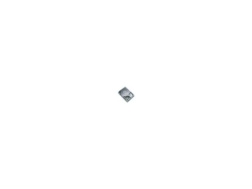 Seagate 160GB 7200 RPM 2MB IDE Ultra ATA100 ST3160021A